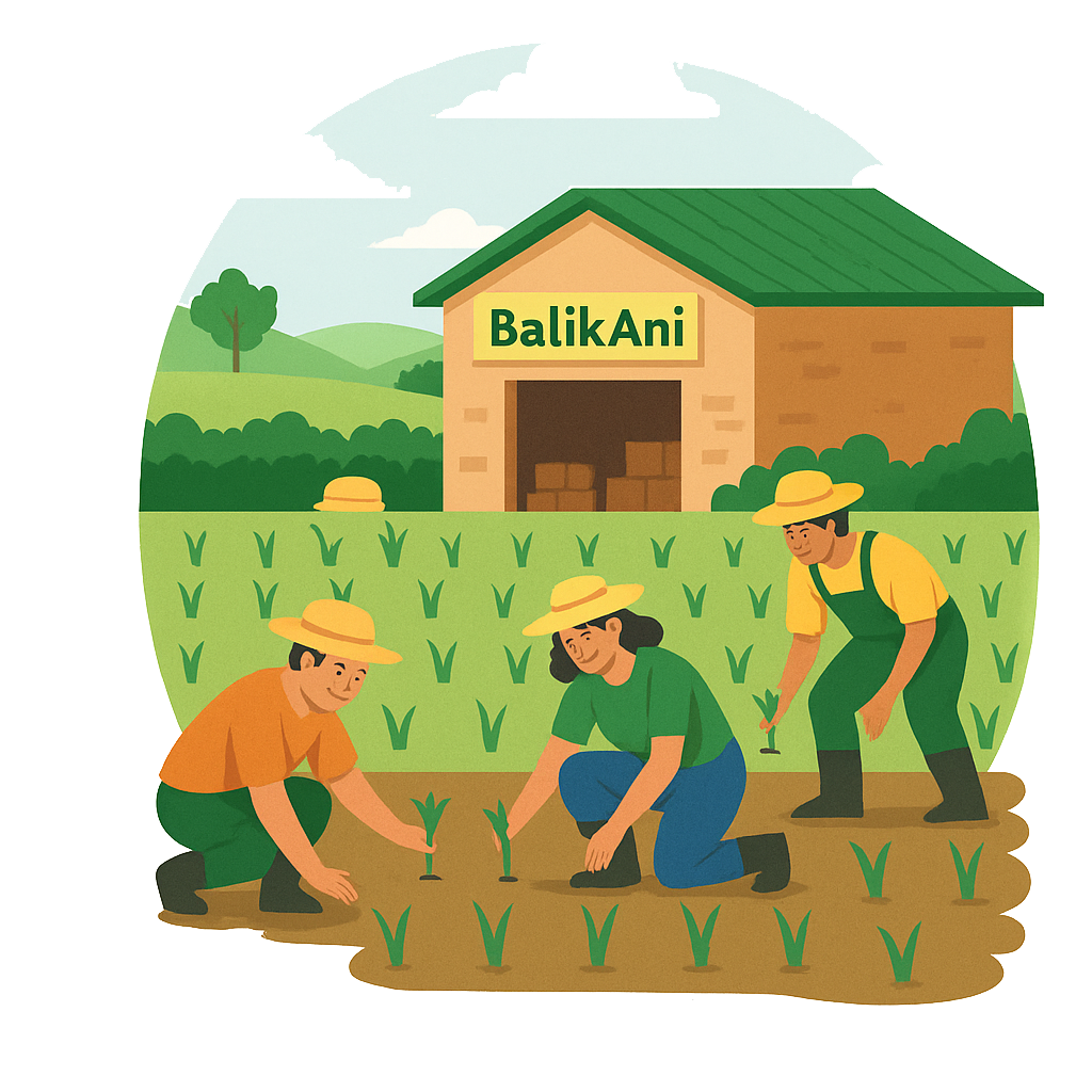 About BalikAni Illustration